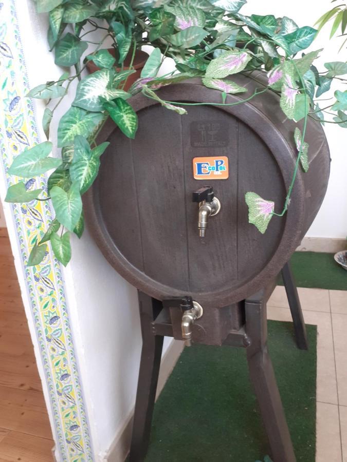 B&B Mistral Di Lizzio Salvatore Giarre Luaran gambar